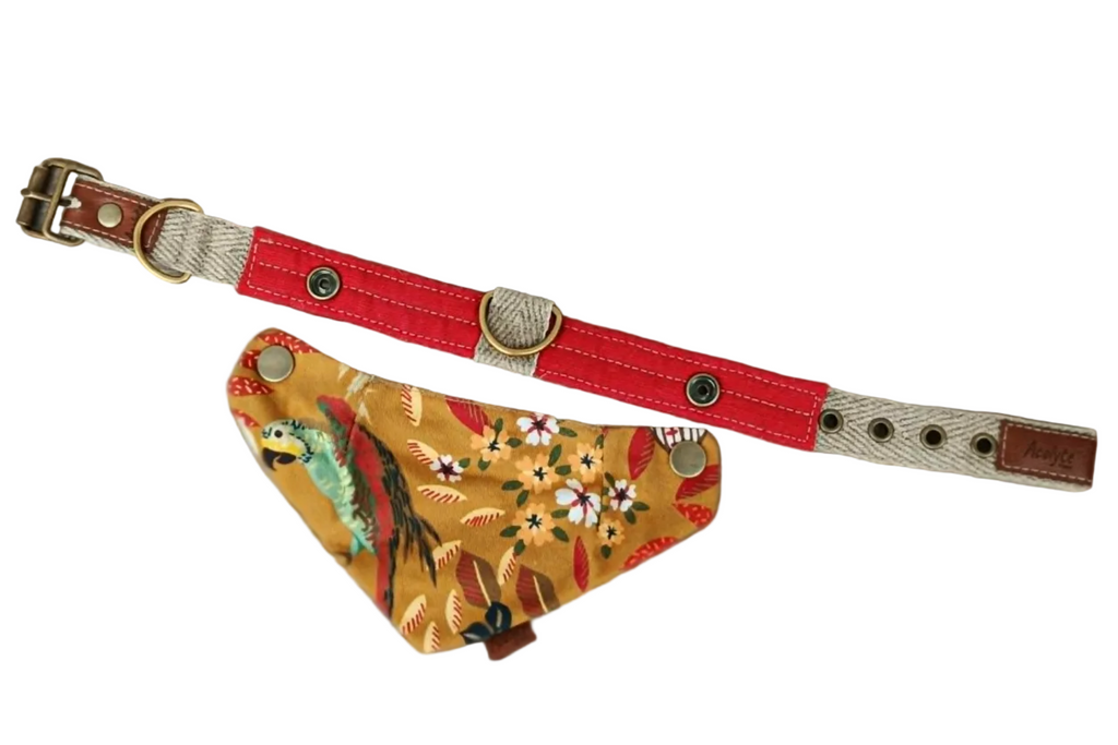Collier LIN-temporel Vermillon