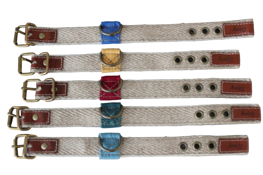 Bracelet dog parent