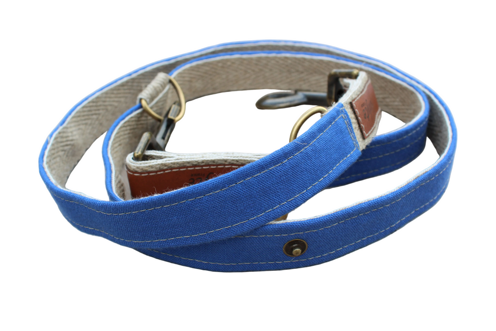 Laisse LIN-temporel Cobalt
