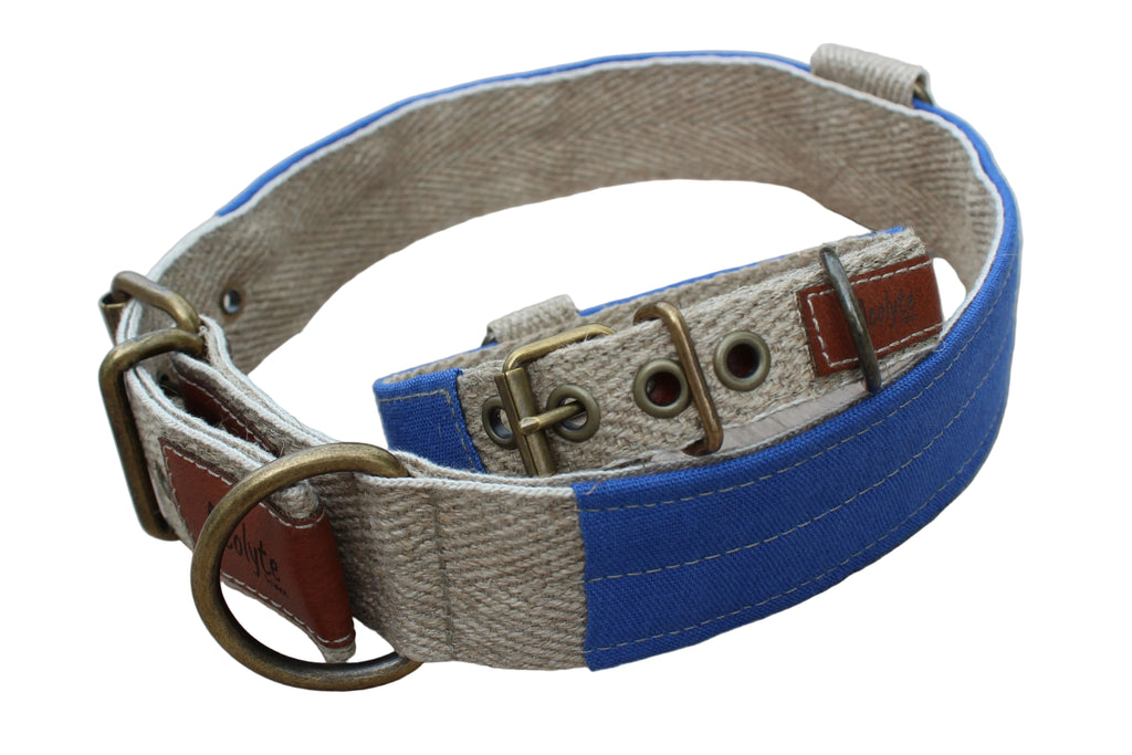 Collier LIN-temporel cobalt