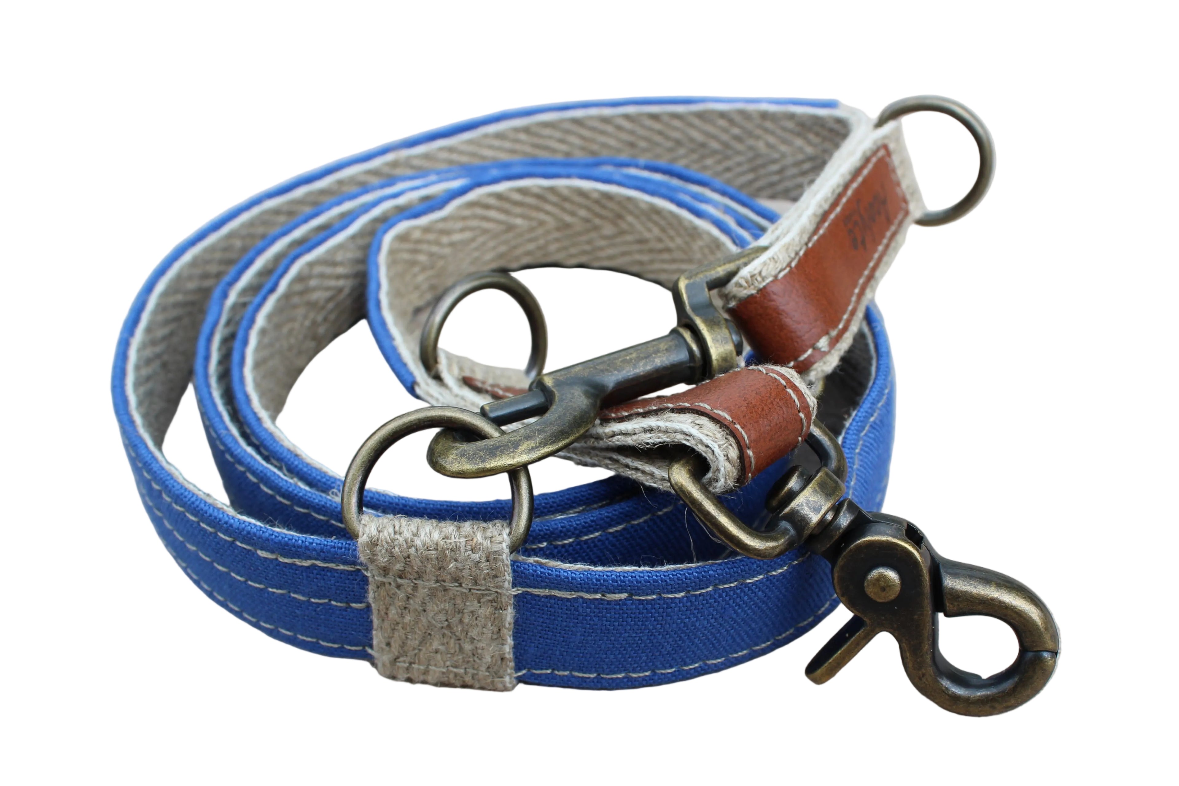 Laisse LIN-temporel Cobalt