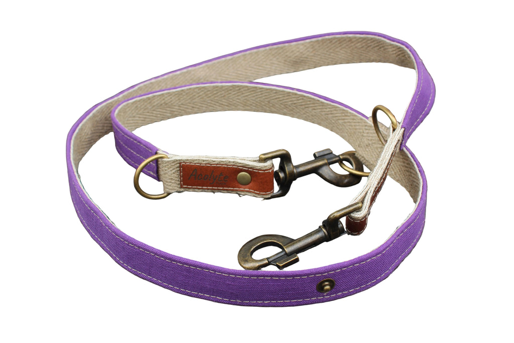 Laisse LIN-temporel Purple