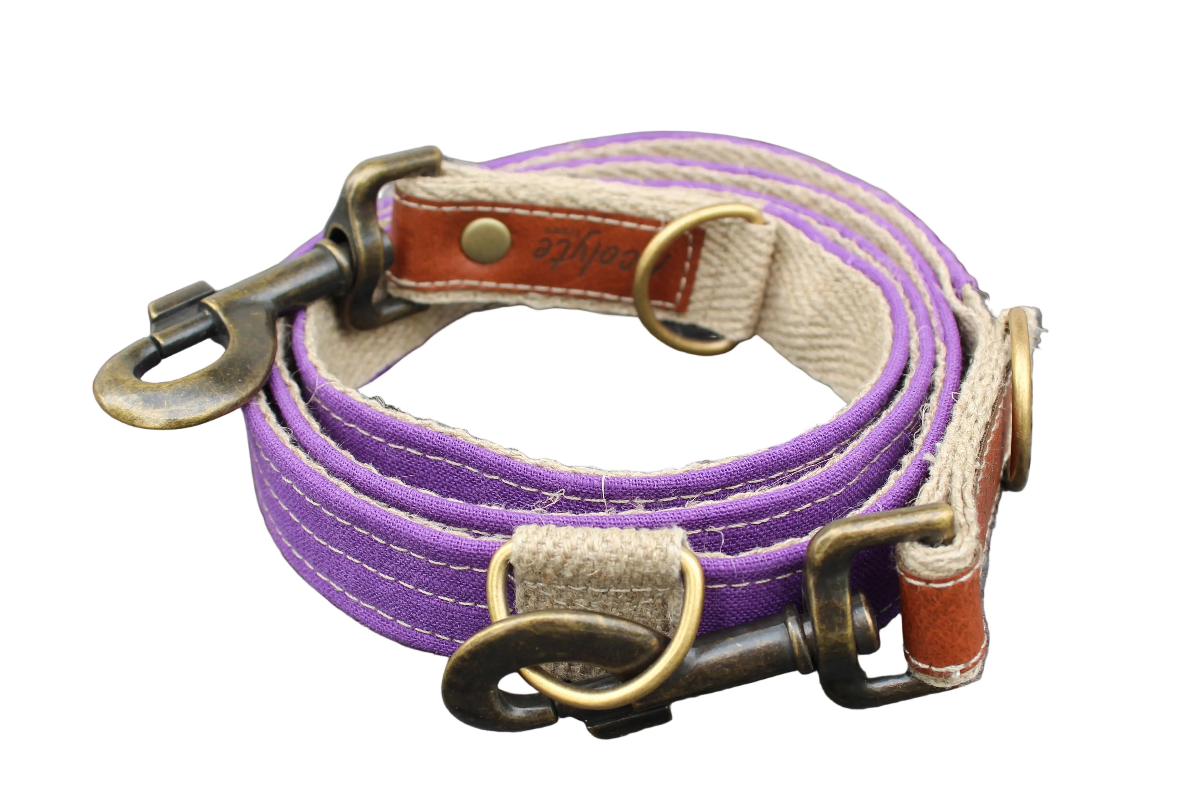 Laisse LIN-temporel Purple
