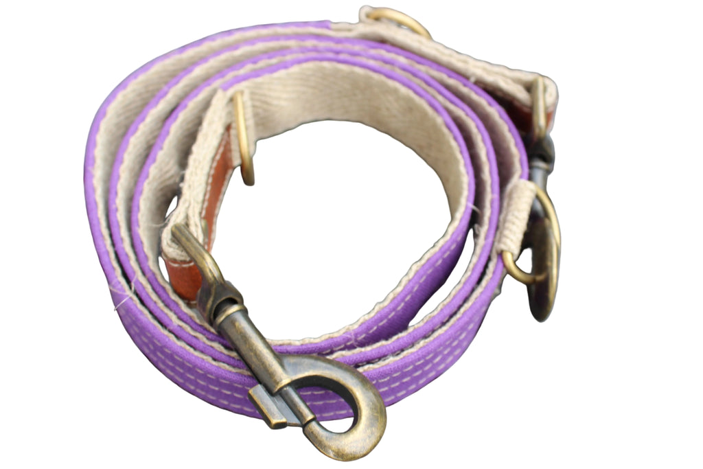 Laisse LIN-temporel Purple