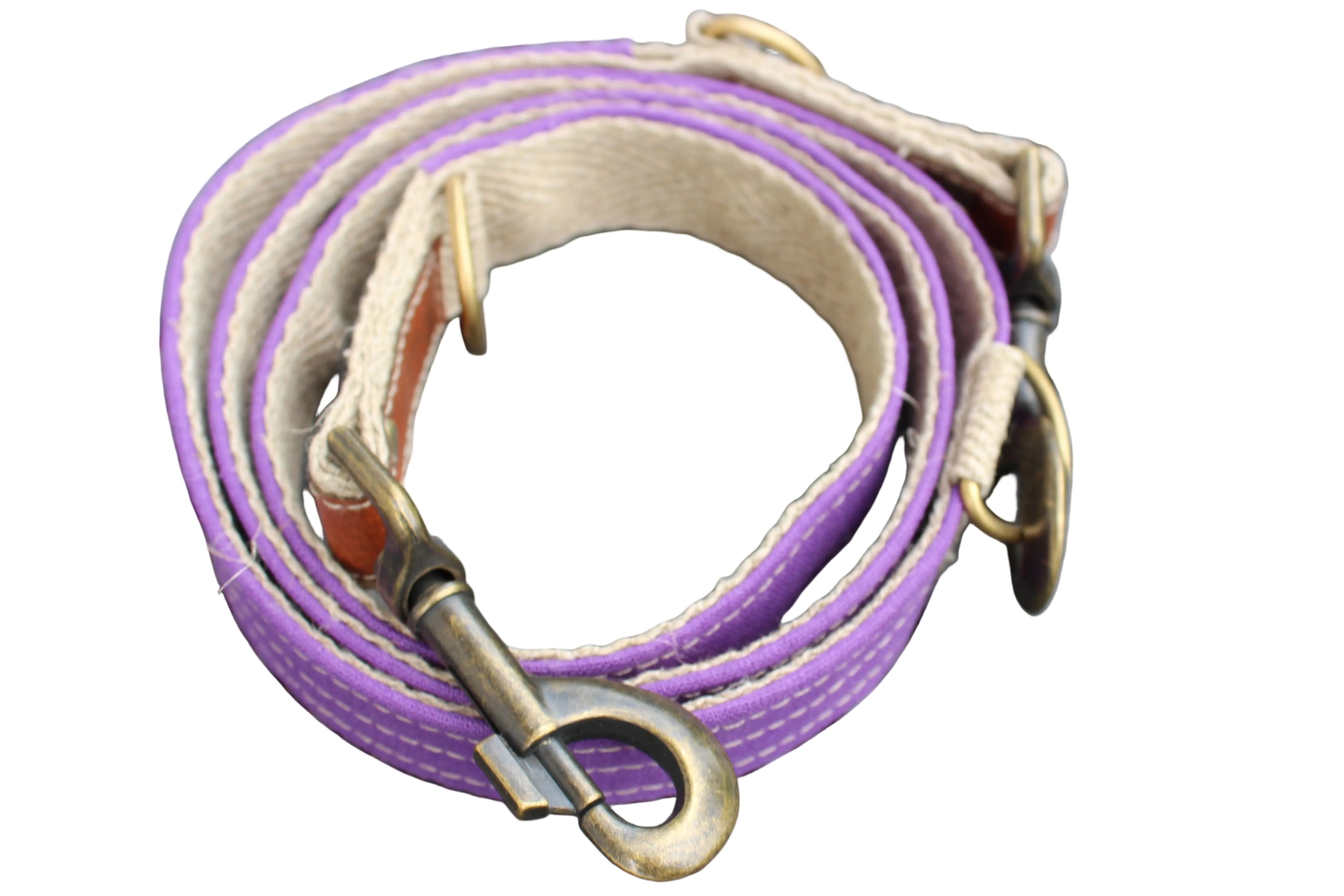 Laisse LIN-temporel Purple