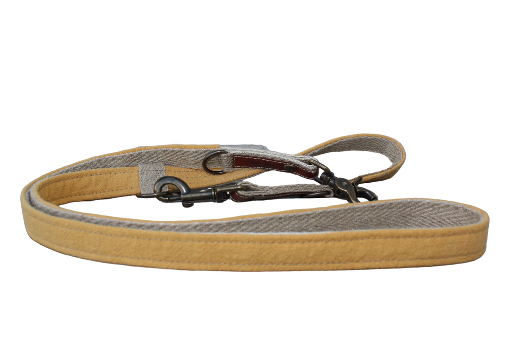 Laisse LIN-temporel Ocre