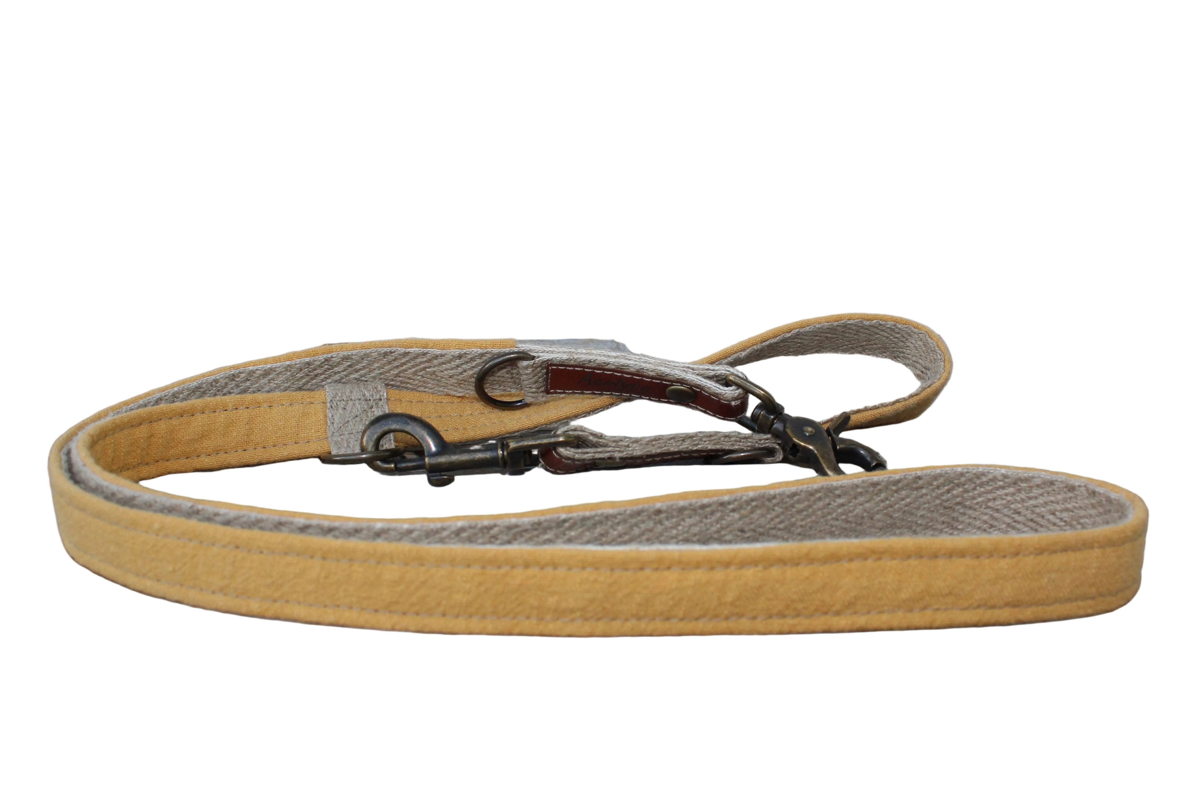 Laisse LIN-temporel Ocre
