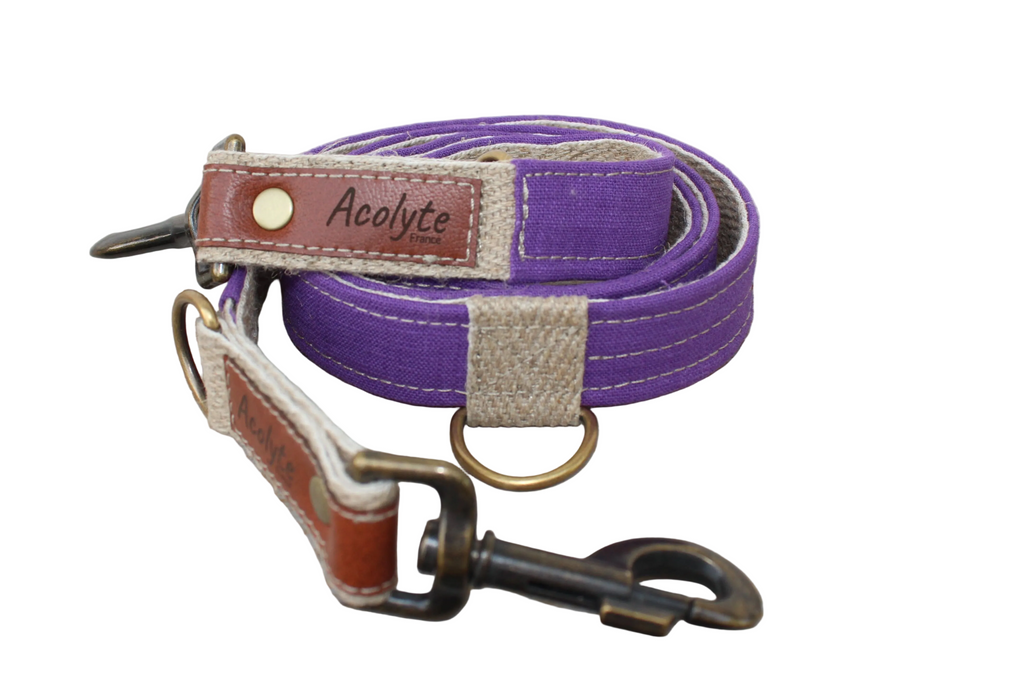 Laisse LIN-temporel Purple
