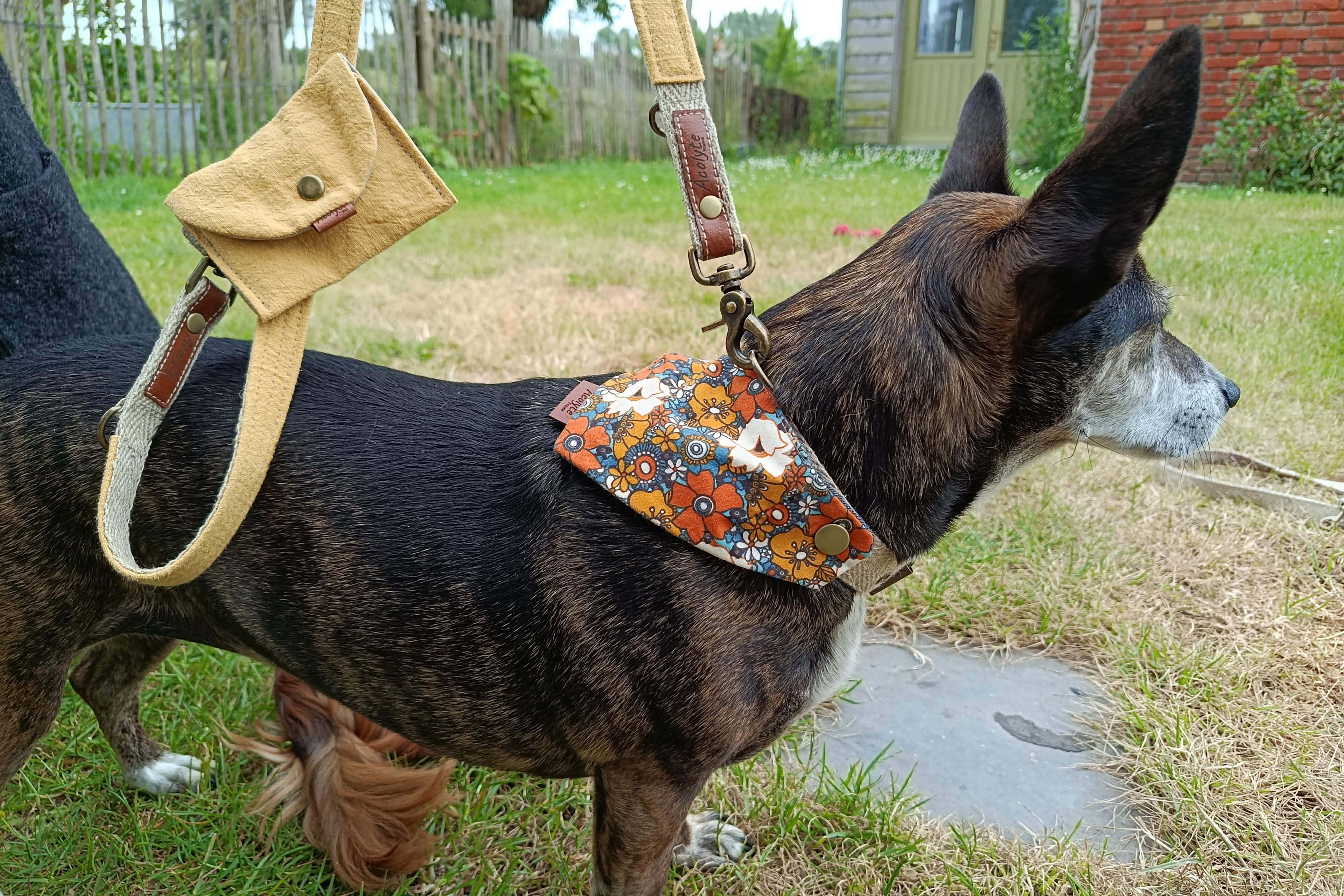 Bandana