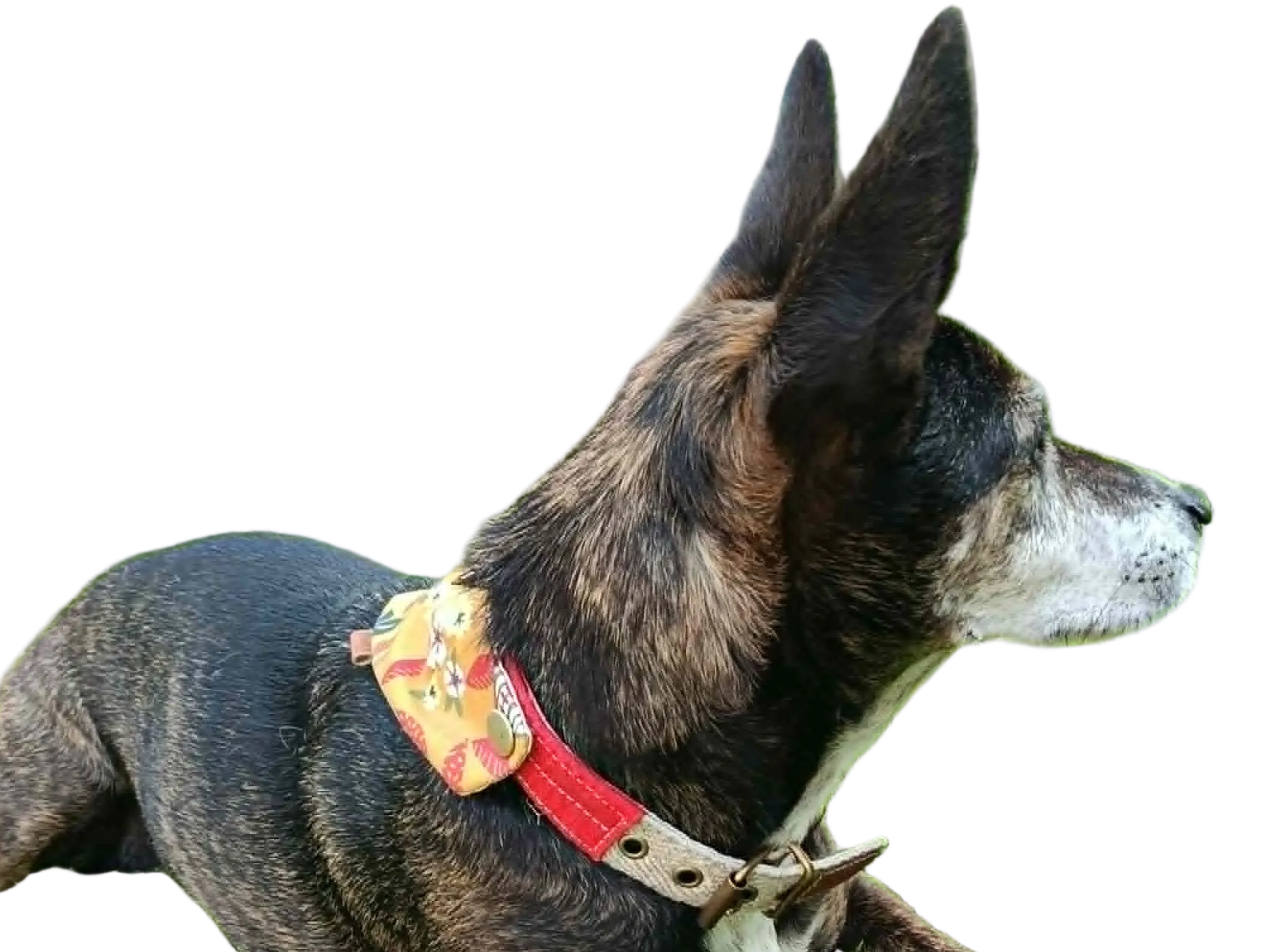 Bandana