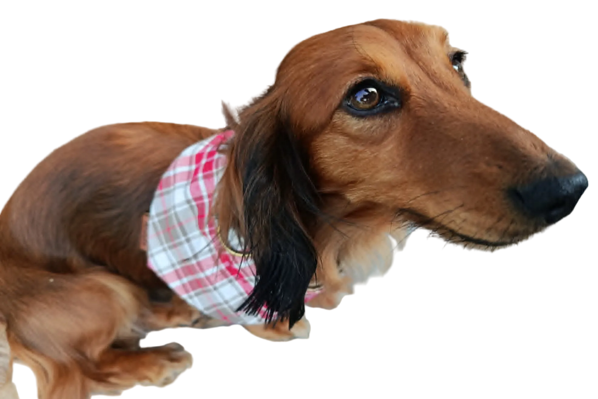 Bandana