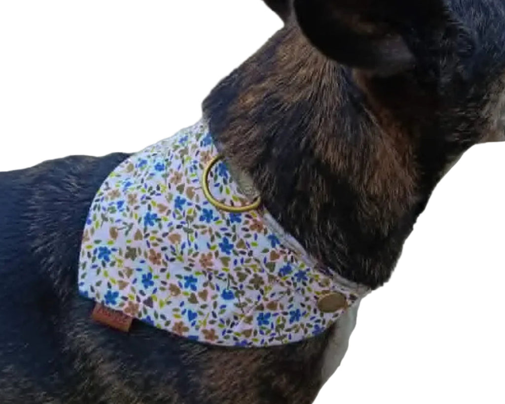 Bandana